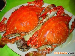 鲜活水产品、南美对虾、南美对虾批发、三门海产品、对虾 三门青蟹采购