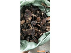 供应 野生黑灵芝批发 野生黑灵芝