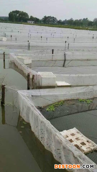 江海渔网 水蛭网箱批发