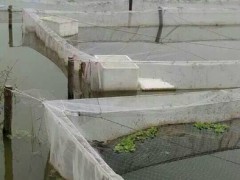 江海渔网 水蛭网箱批发