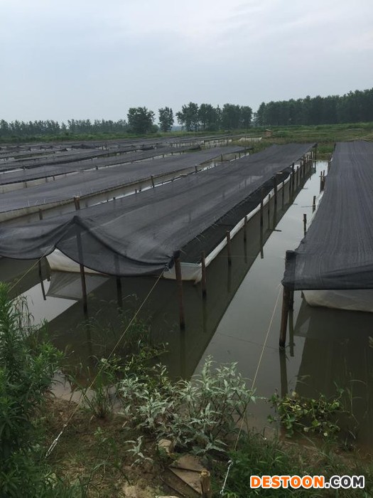 沅江江海 捕捞设备 水蛭网箱 水蛭网箱批发 水蛭网箱价格 水蛭网箱采购 水蛭网箱厂家