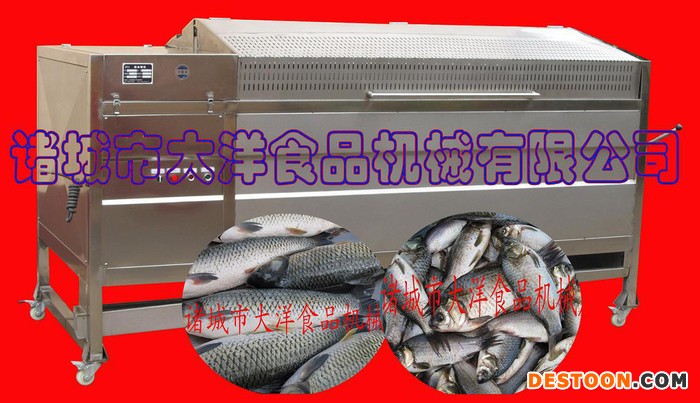 供应大洋YQT草鱼去鱼鳞机，自动鲜鱼去鳞机