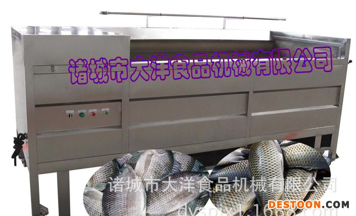大洋牌草鱼脱鳞机，全自动鱼鳞设备