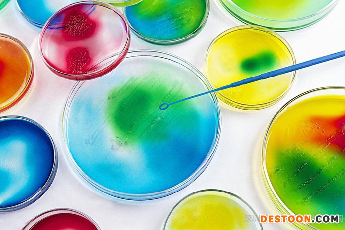 ATCC/ZIKER草鱼肾细胞系GIK