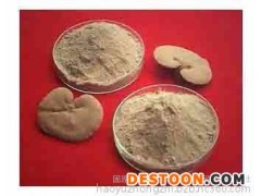 灵芝粉  灵芝提取物  灵芝多糖  灵芝孢子粉 灵芝速溶粉 灵芝浓缩粉