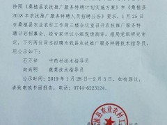 桑植县农技推行效力特聘农技员选聘结果公示