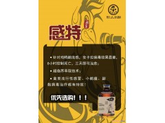 鸭肝特效药，预防鸭肝有什么好药，鸭肝老是复发怎么办，感特