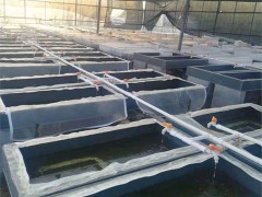 新垣 水产养殖箱 水蛭养殖箱方形蚂蝗养殖箱 日本医蛭养殖箱厂家