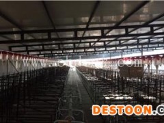 清远养猪自动化料线-牧鑫养殖保证售后服务-养猪自动化料线报价