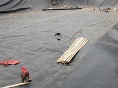 蠡县泥鳅养殖膜