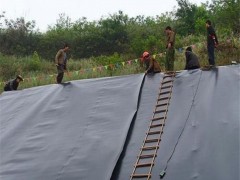 北京泥鳅养殖膜