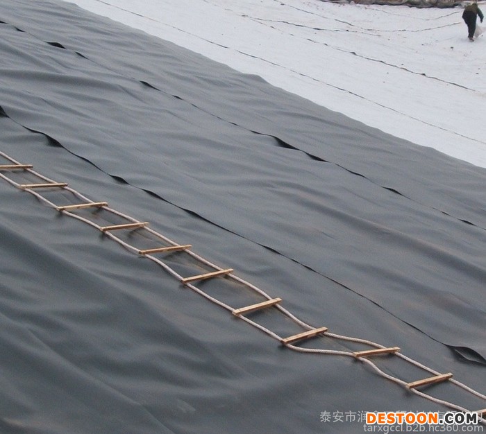 车库顶板排水板 黄鳝养殖膜 厂家直供福州福清 黄鳝养殖膜  泰安润鑫  土工布