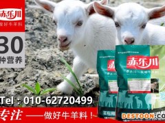 赤乐川Y340湖羊羔羊饲料配方