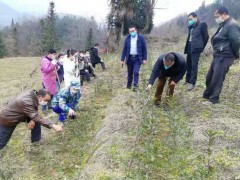 岚皋：片面拉开春季消费“大幕”