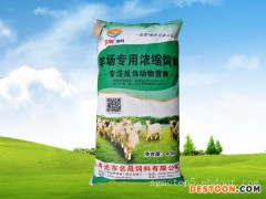 育肥羊料生产厂家|山东不错的羊饲料生产基地