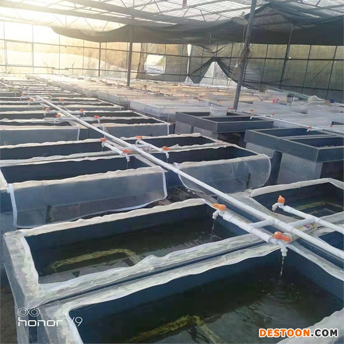 新垣 水产养殖箱 水蛭养殖箱方形蚂蝗养殖箱厂家直销品质保证