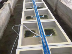 新垣 水产养殖箱 水蛭养殖箱方形蚂蝗养殖箱 日本医蛭养殖箱质优价廉