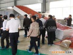 辣椒烘干设备-鲜辣椒烘干设备-河南国信机械(优质商家)