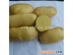 雪原农业科技种子优质-优质土豆种子批发多少钱