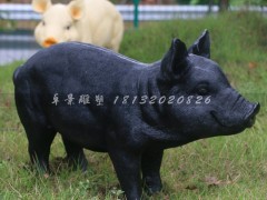 玻璃钢仿真黑猪雕塑  公园动物雕塑