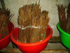 金蝉人工养殖技术电话今日行情