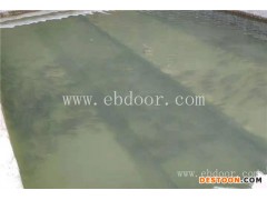 石斑鱼苗批发价格-鼎鸿生态农业(在线咨询)-石斑鱼苗批发