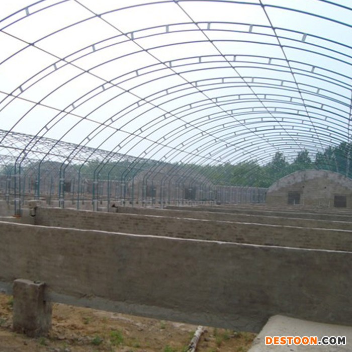 冬季防冻养殖大棚_黑猪养殖大棚