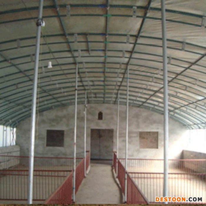 大棚养猪场_黑猪养殖大棚