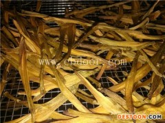 黄花菜烘干设备哪家好-河南国信机械-黄花菜烘干设备