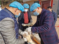 连城县凝心聚力打好疫情防控阻击战