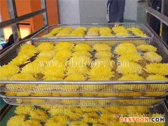 万寿菊烘干机优势-国信机械-万寿菊烘干机