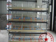 春亿cyhll-0309狐狸笼、狐狸养殖笼、狐狸笼子、狐狸笼子价格