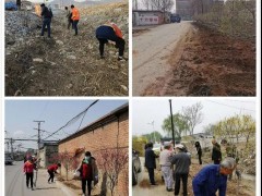 全鹤壁市“春盛行动”典型镇展示2-营口鹤壁市农业农村局