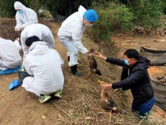 钟山县毫不松散抓好严重植物疫病防控措施在农村落实_贺州晋中市农业农村局网站