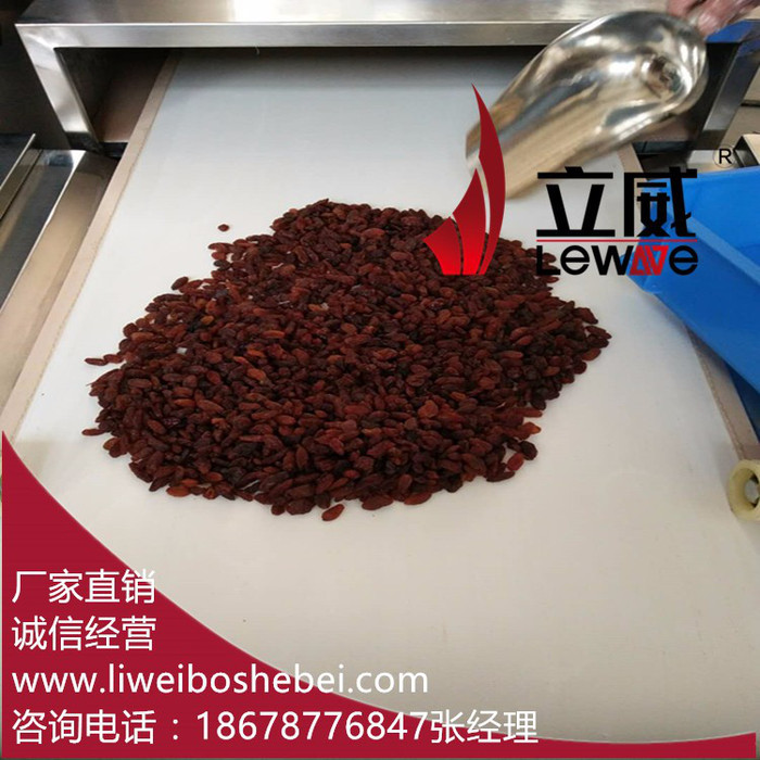 新疆葡萄干微波杀菌设备厂家