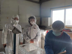 新冠肺炎防控  营口鹤壁市农业农村局紧急展开禽流感等严重植物疫病监测预警-营口鹤壁市农业农村局