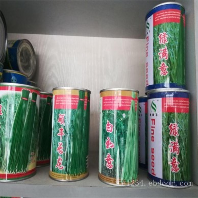 特长豆角种子能长一米的豆角种子新品种