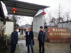 市农业农村局党组书记倪林带队反省名山区新型冠状病毒感染的肺炎疫情防控义务