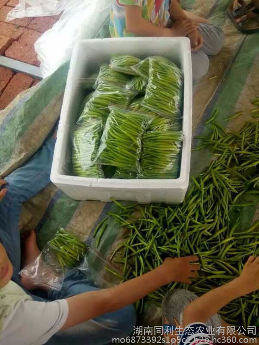 黄花菜 之乡 祁东 质优价廉