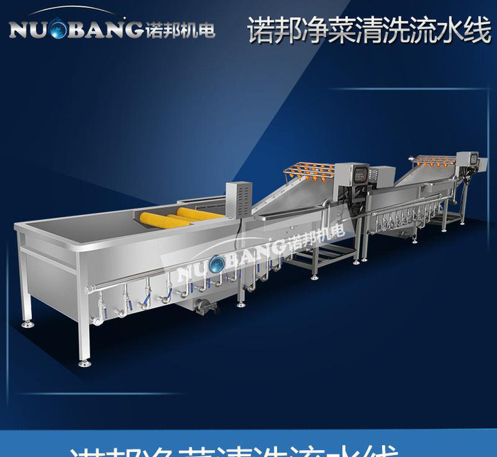 速冻蔬菜清洗机 气泡冲浪蔬菜酱腌菜清洗机