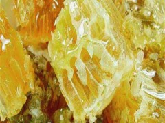 厂家直销 蜂蜜 野生蜂蜜 野生土蜂蜜 土蜂蜜批发