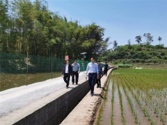 泸县政协督查大春消费义务