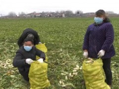 南漳县军转干部黄仲寿  爱心捐资抗疫情-襄阳晋中市农业农村局