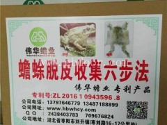 上海蟾蜍养殖-蟾蜍人工养殖-伟华蟾业(优质商家)