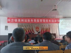 山东西瓜批发价格-