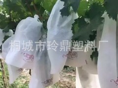 安徽桐城市玲鼎果袋厂家直销无纺布葡萄防鸟套袋30*38 葡萄袋 果品包装袋