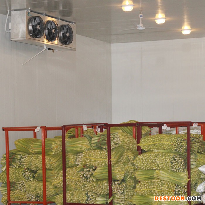 供应食用菌冷库 水果保鲜冷库 乳制品冷库