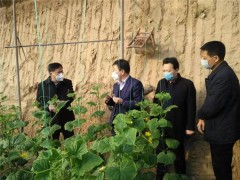 大荔：省农业农村厅副厅长任步学调研大荔县农村人居环境和春季农业消费义务