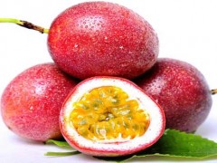 鸡蛋果育苗​办法及管理技术