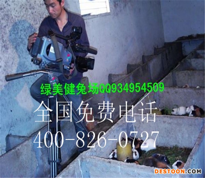 湖南特种养殖项目